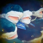 toy sharks