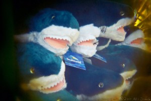 toy sharks